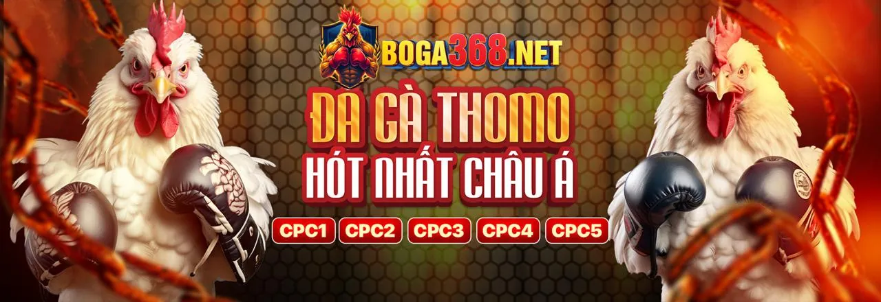 Hình ảnh đại diện cho trang Câu Hỏi Thường Gặp của 188BET
